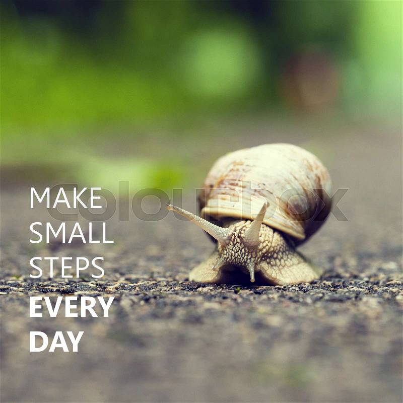 Make Small Steps Every Day. Small brown snail. , stock photo