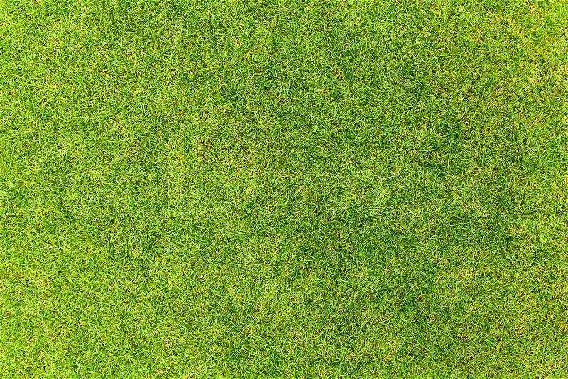 Top view of Natural green grass texture, Aerial view of park, stock photo