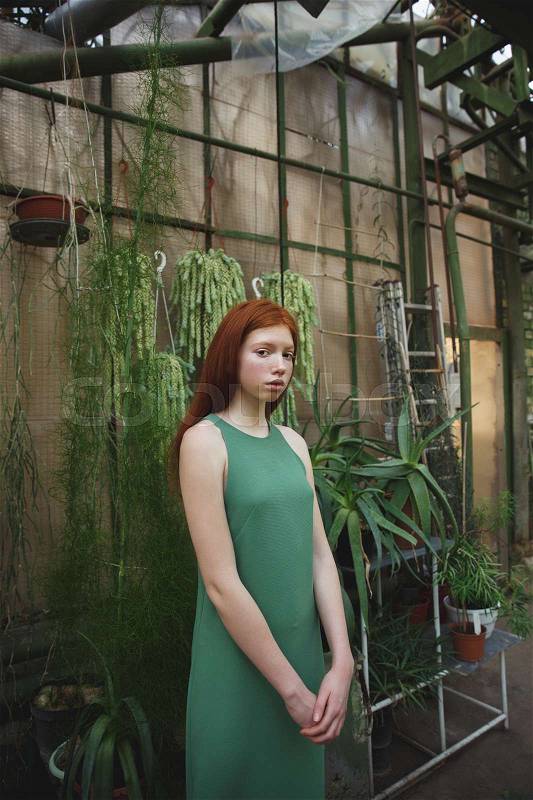 Portrait a young redheaded woman in dress standing with potted plants on a background, stock photo