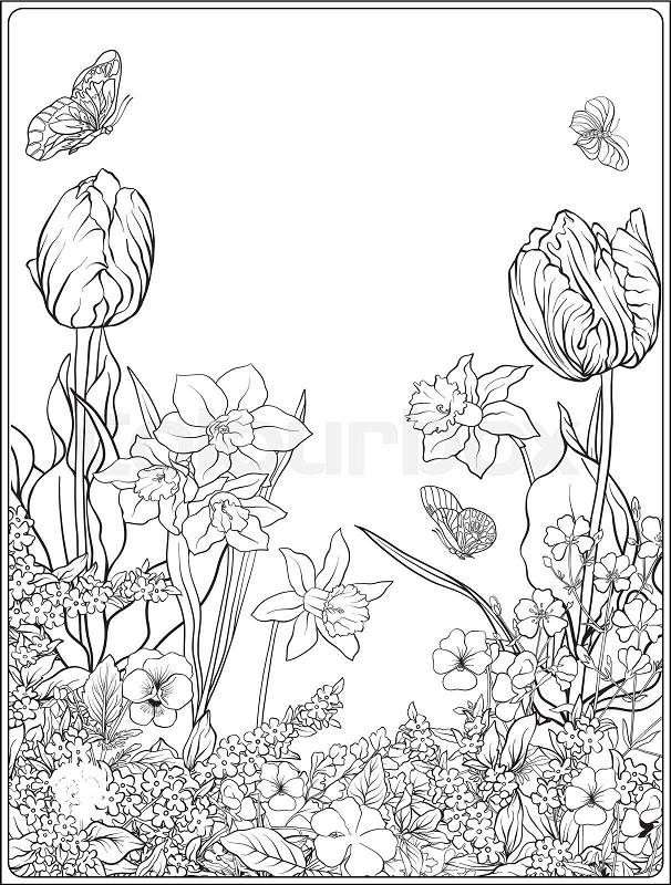 Composition with spring flowers: tulips, daffodils, violets, forget-me-nots in botanical style. Stock line vector illustration. Outline hand drawing coloring page for adult coloring book. , vector