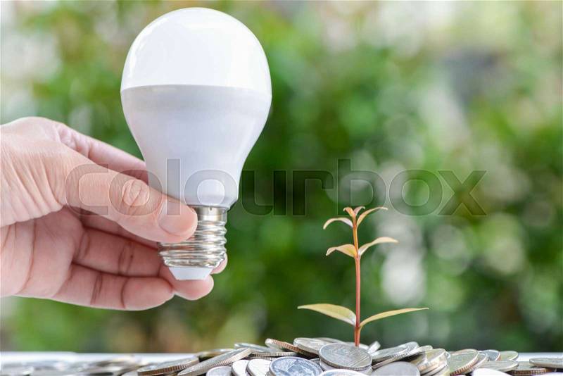 Woman hand is holding LED bulb with growing plant - Concept of saving energy, stock photo