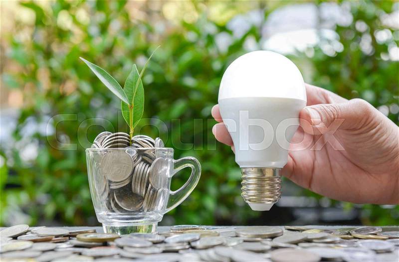 Woman hand is holding LED bulb with growing plant in the glass - Concept of saving energy, stock photo