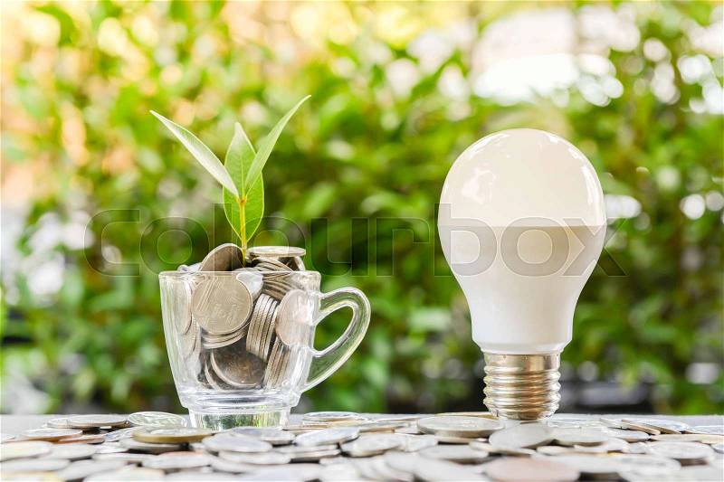 LED bulb with growing plant in the glass and sun light - Concept of saving energy, stock photo