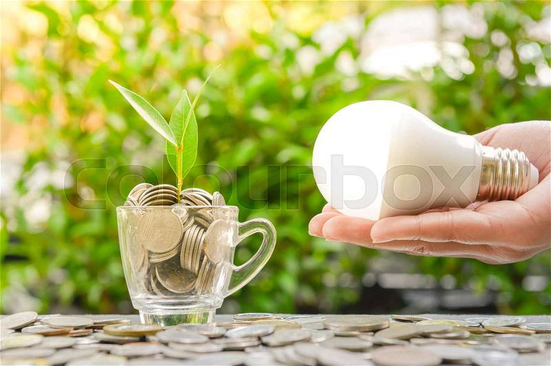 Woman hand is holding LED bulb with growing plant in the glass and sun light - Concept of saving energy1, stock photo