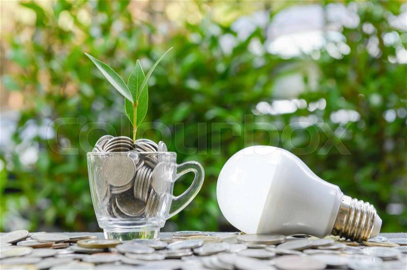 LED bulb with growing plant in the glass and sun light - Concept of saving energy, stock photo