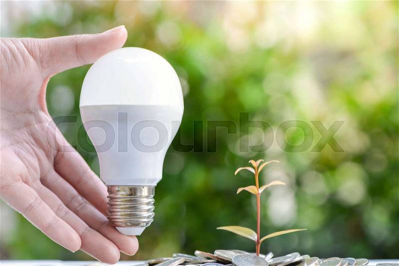Woman hand is holding LED bulb with growing plant - Concept of saving energy, stock photo