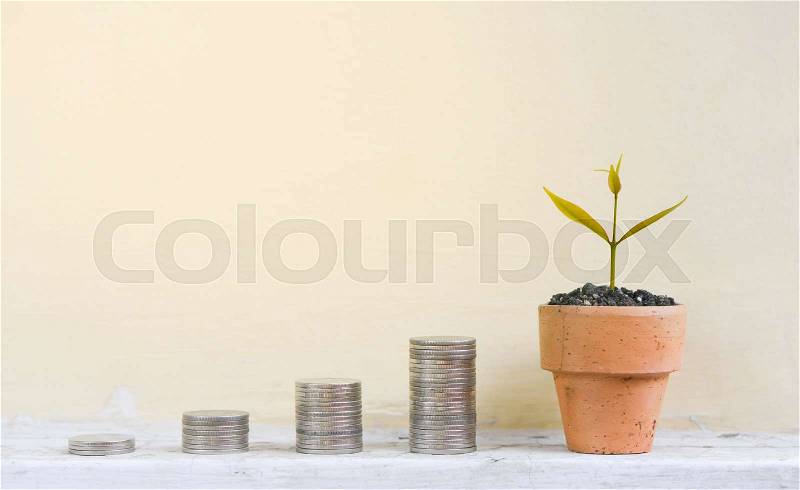 Growing coins stacks and growing plant for concept of saving money, stock photo