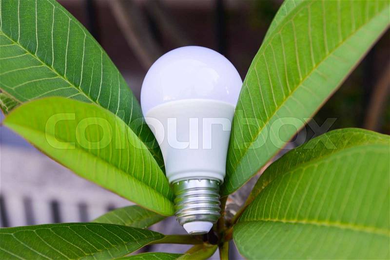 LED bulb and lighting with the leaves for saving energy concept, stock photo