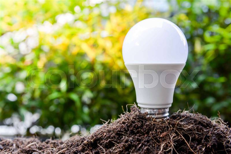 LED bulb is growing from the soil for saving concept, stock photo