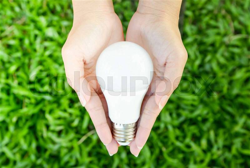 LED bulb in woman hand with green grass background and sun ray, stock photo