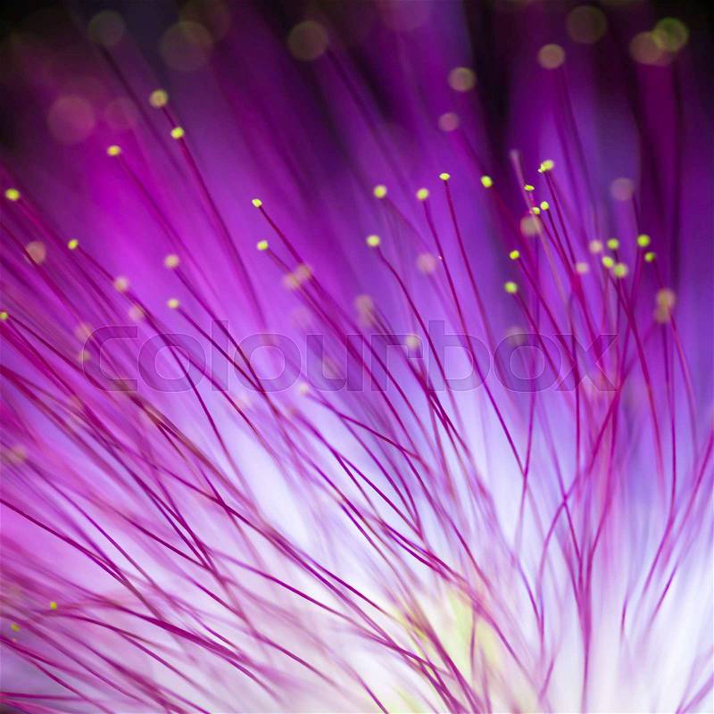 Abstract blurred purple flower natural background, stock photo