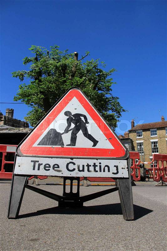 Work in progress, tree cutting in the residential area of the village Cantebury in the summer, stock photo