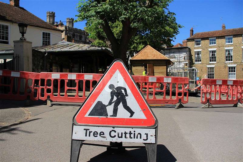 Work in progress, tree cutting in the residential area of the village Cantebury in the summer, stock photo