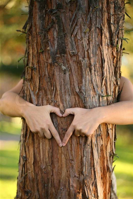 A nature lover environmentalist with arms wrapped around a pine tree and fingers formed in the shape of a heart, stock photo