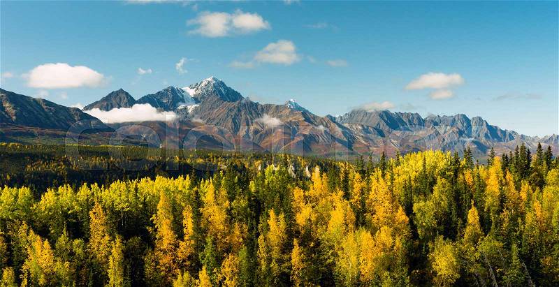 Fall is approaching in the Chugach National Forest Alaska, stock photo