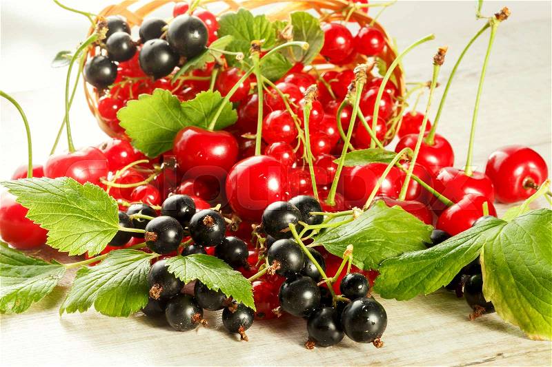 Fresh berries of cherry, red currant and blackcurrant on a light background, stock photo
