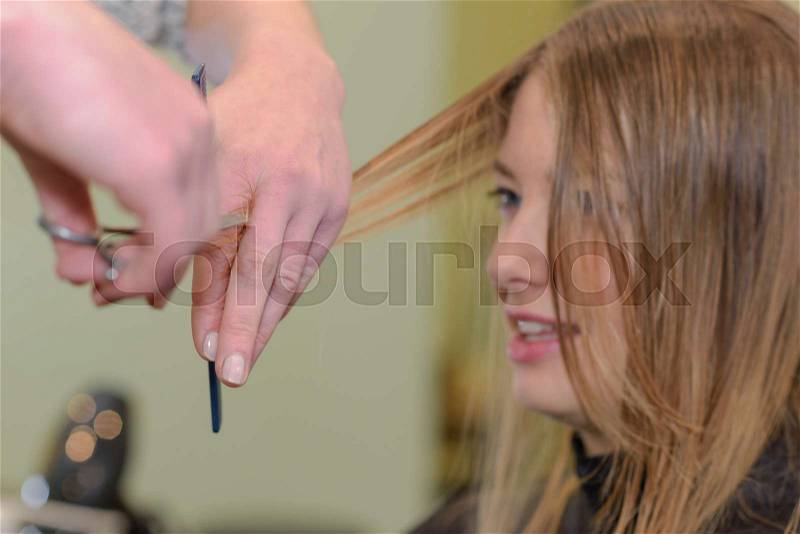 Hairdresser cut hair of a woman, stock photo