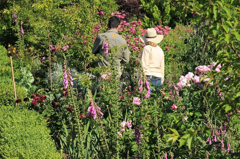 The gardeners are working in one of the blooming gardens on Sissinghurst Castle in England on a sunny day in the beautiful summer, stock photo