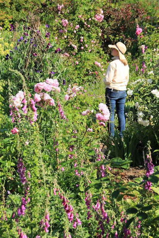 The gardener has a break and enjoys one of the blooming gardens on Sissinghurst Castle in England in the beautiful summer, stock photo