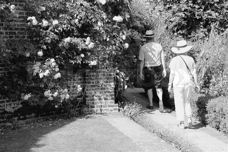 The couple, man and wife are walking along a wall with blooming roses in one of the gardens in Sissinghurst Castle in England in the summer in black and white, stock photo