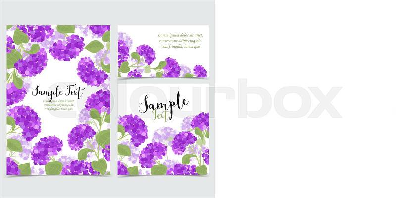 Set vector illustration of hydrangea flower Background with purple flowers. Cards invitations, vector