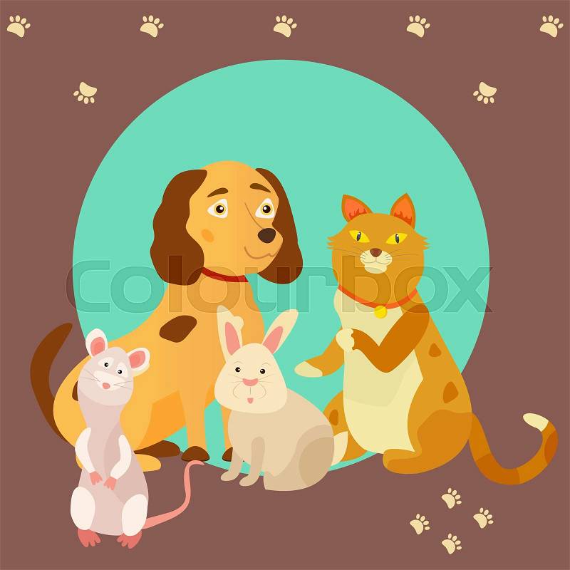 Bright images of domestic animals cat, rat, dog and rabbit. Can be used for pet shops, clinics or pet food advertising, vector