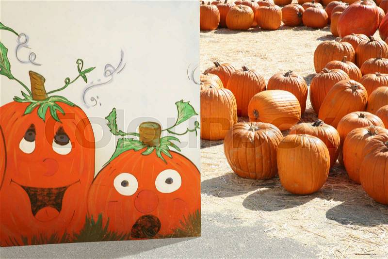 Pumpkins with painting of pumpkins, stock photo