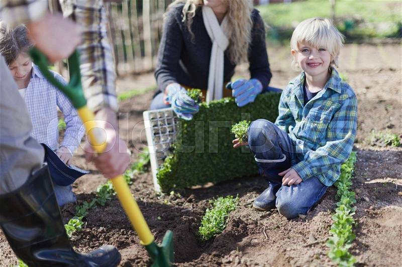 Family planting in garden together, stock photo