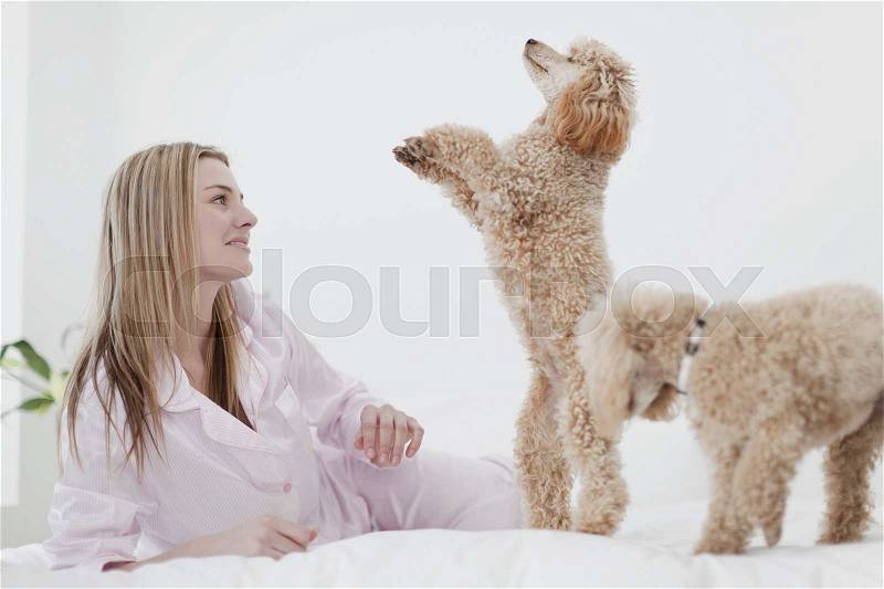 Woman playing with dogs on bed, stock photo