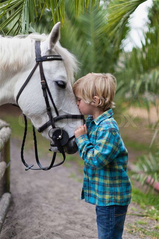Boy kissing horse in yard, stock photo