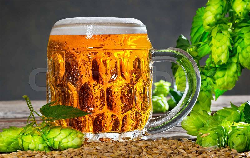 Glass of beer with hop cones on the wooden desk, stock photo