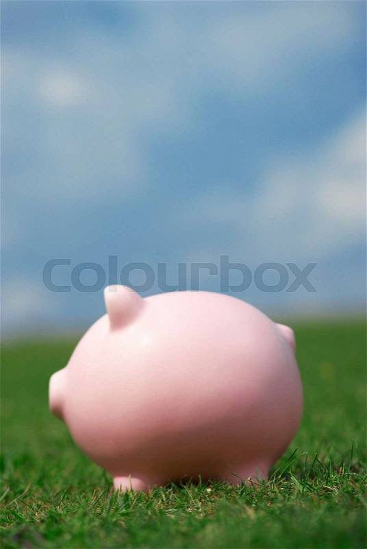 Piggy bank in field, stock photo