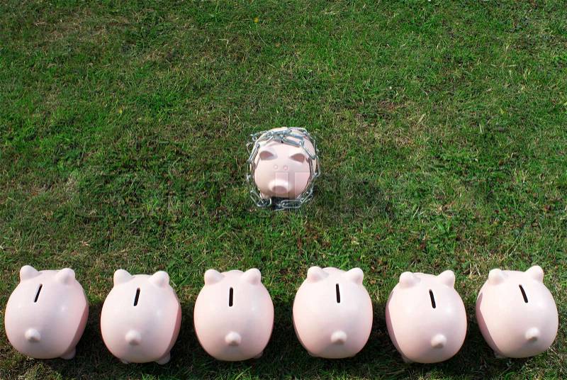 Piggy bank in a line facing one, stock photo