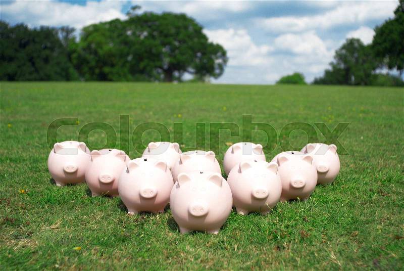 Piggy banks in a park, stock photo