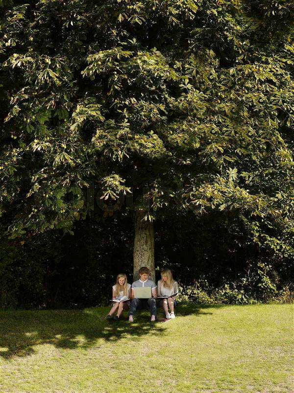 3 friends working under a tree, stock photo