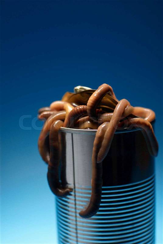 Can of worms, stock photo