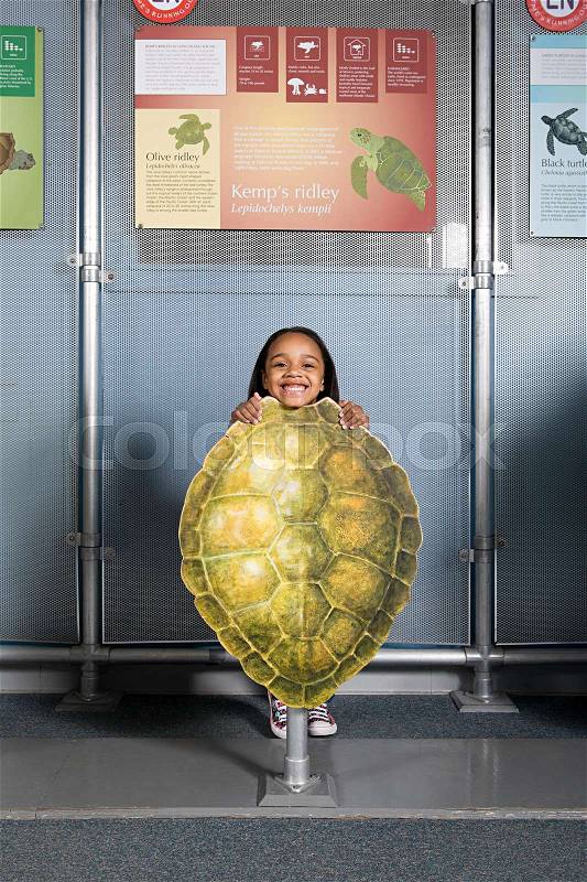 Girl standing behind kemps ridley sea turtle shell, stock photo