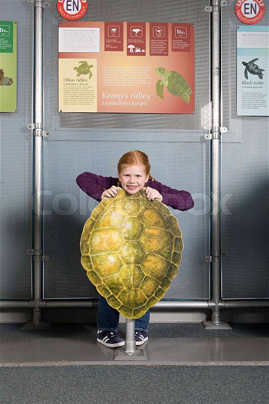 Girl standing behind kemps ridley sea turtle shell, stock photo