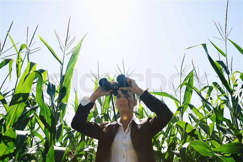 Businesswoman with binoculars, stock photo