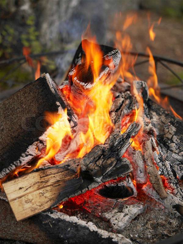 Burning fire in fire pit, stock photo