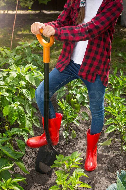 Closeup young woman in red wellington boots working on garden bed with shovel, stock photo