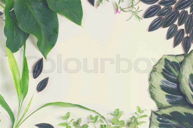 Mix of fresh green exotic tropical leaves frame on white background, retro toned, stock photo