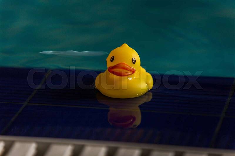 Yellow rubber ducky floating in a swimming pool, stock photo