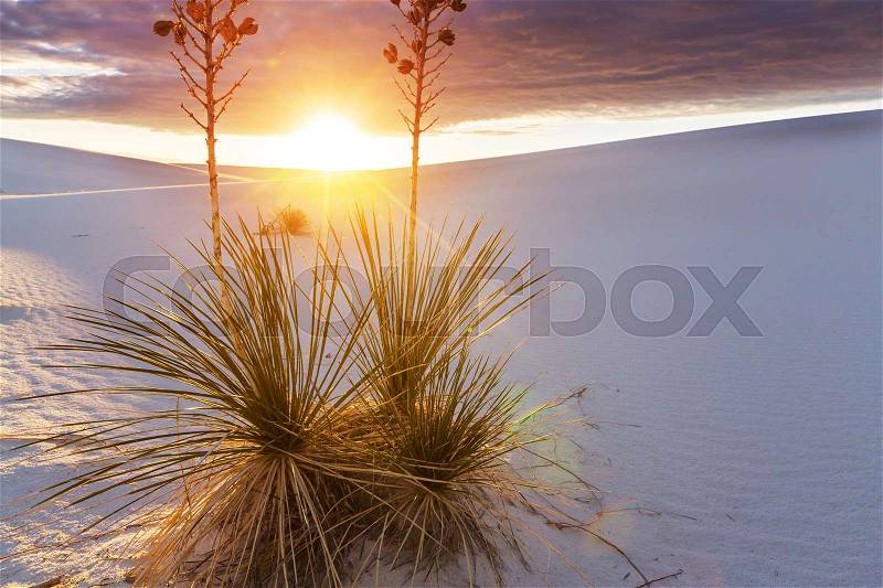 White Sands Park in USA, stock photo
