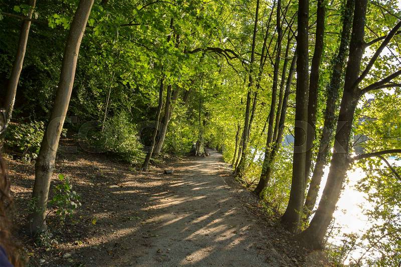 A path in the woods alongside a river with the sun in Bern, Switzerland, stock photo