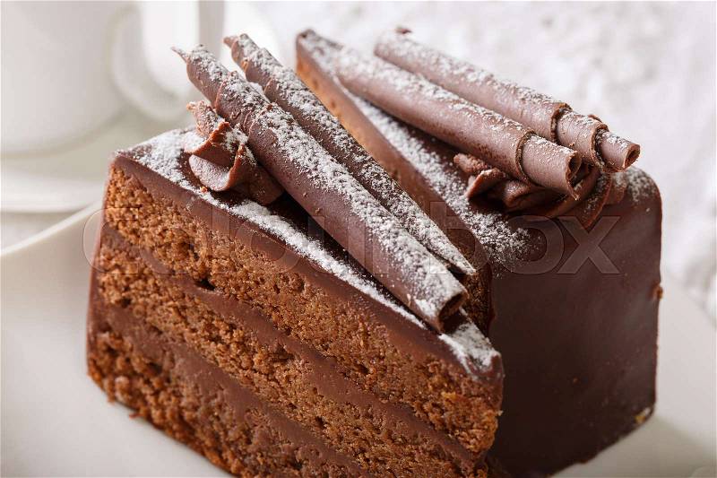 Truffle cake with chocolate decor and powdered sugar on a plate close up. horizontal , stock photo