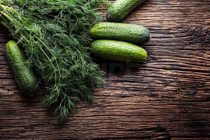 Cucumber and dill on very old rustic oak table, stock photo