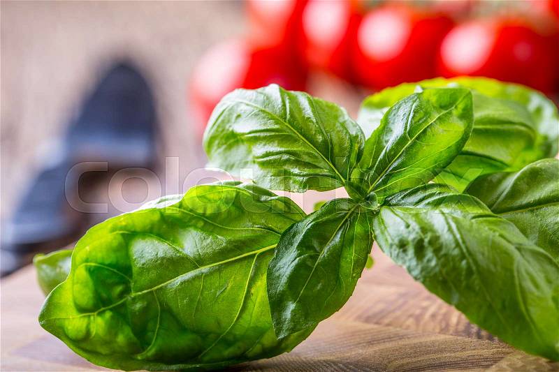 Basil. Fresh green basil leaves with tomatoes, stock photo