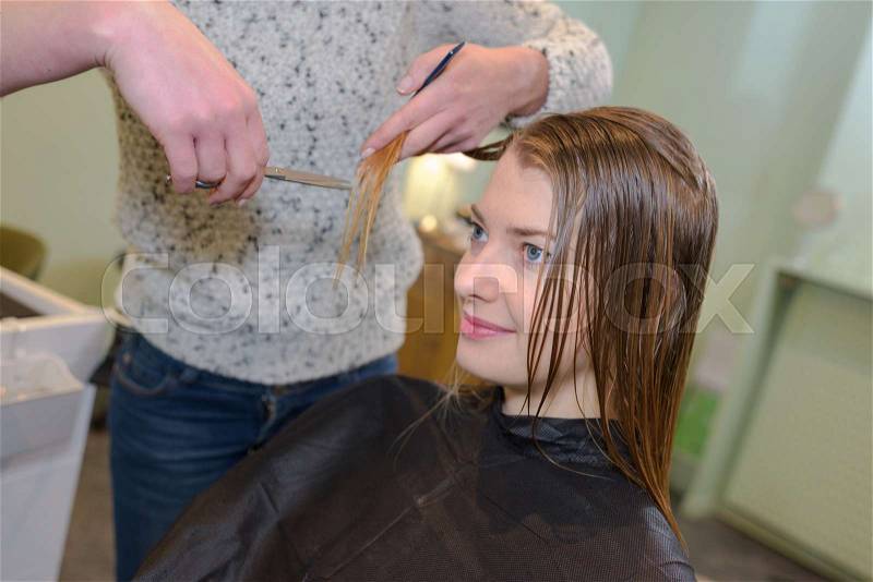 Woman having her hair cut, stock photo