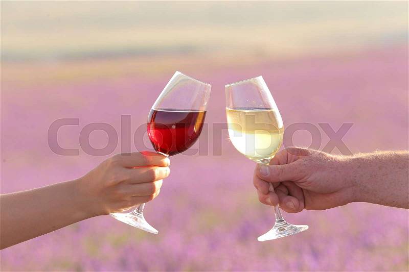 Mid adult Caucasian male and female hands toasting wine glasses over lavender flowers field. Violet flowers on the background, stock photo